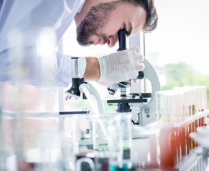 Scientist closely examining a sample through a microscope while wearing gloves in a bright laboratory setting.